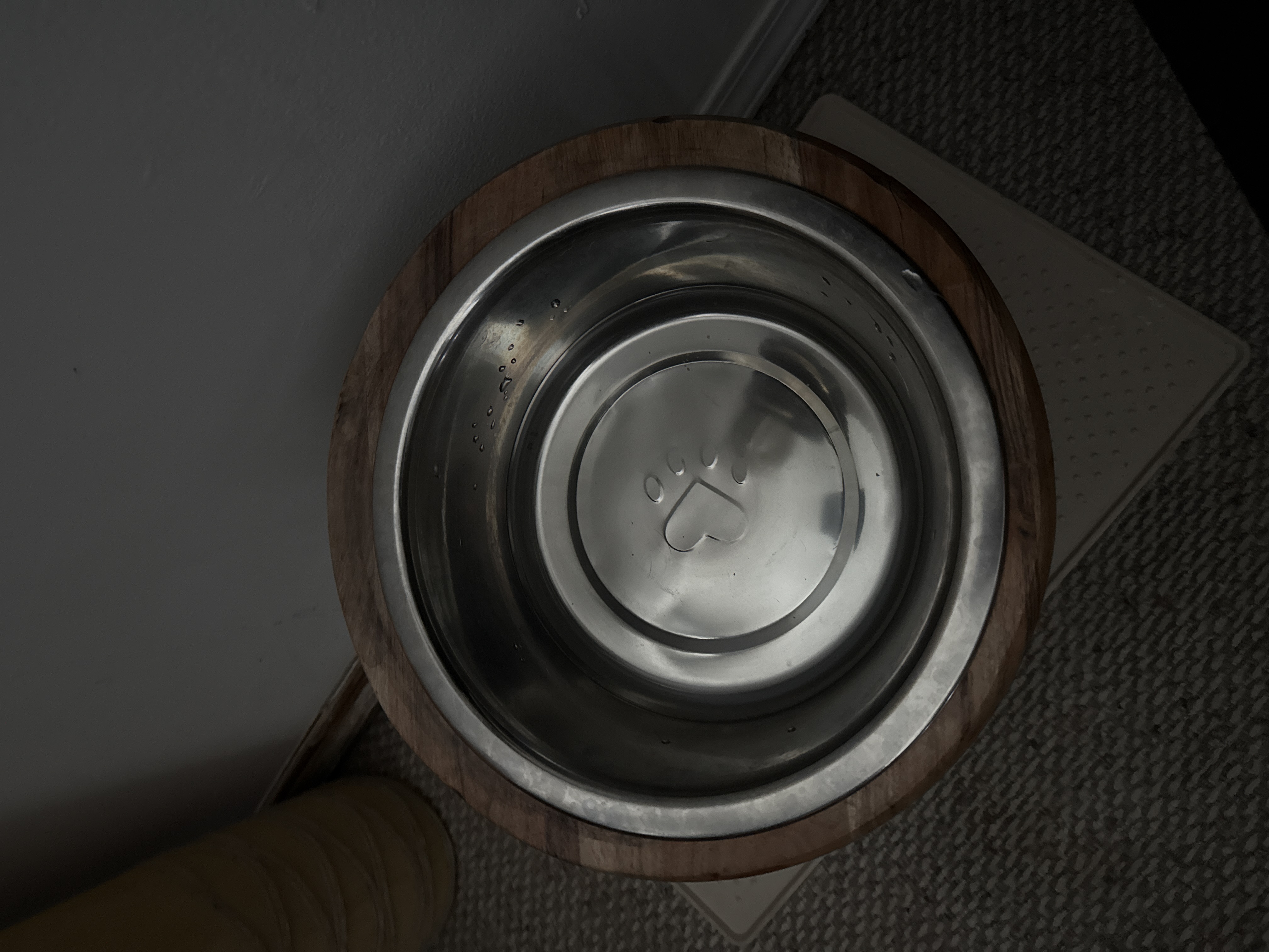 Dog bowl